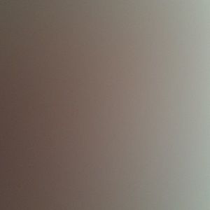 Meet your Posher, Chelsea